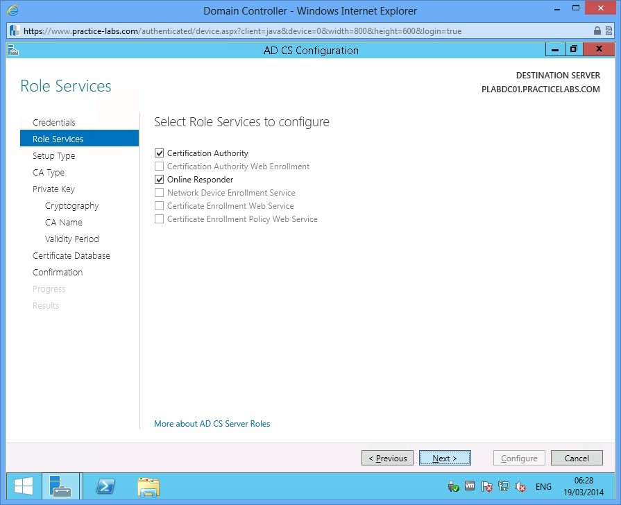 Practice Labs screenshot.